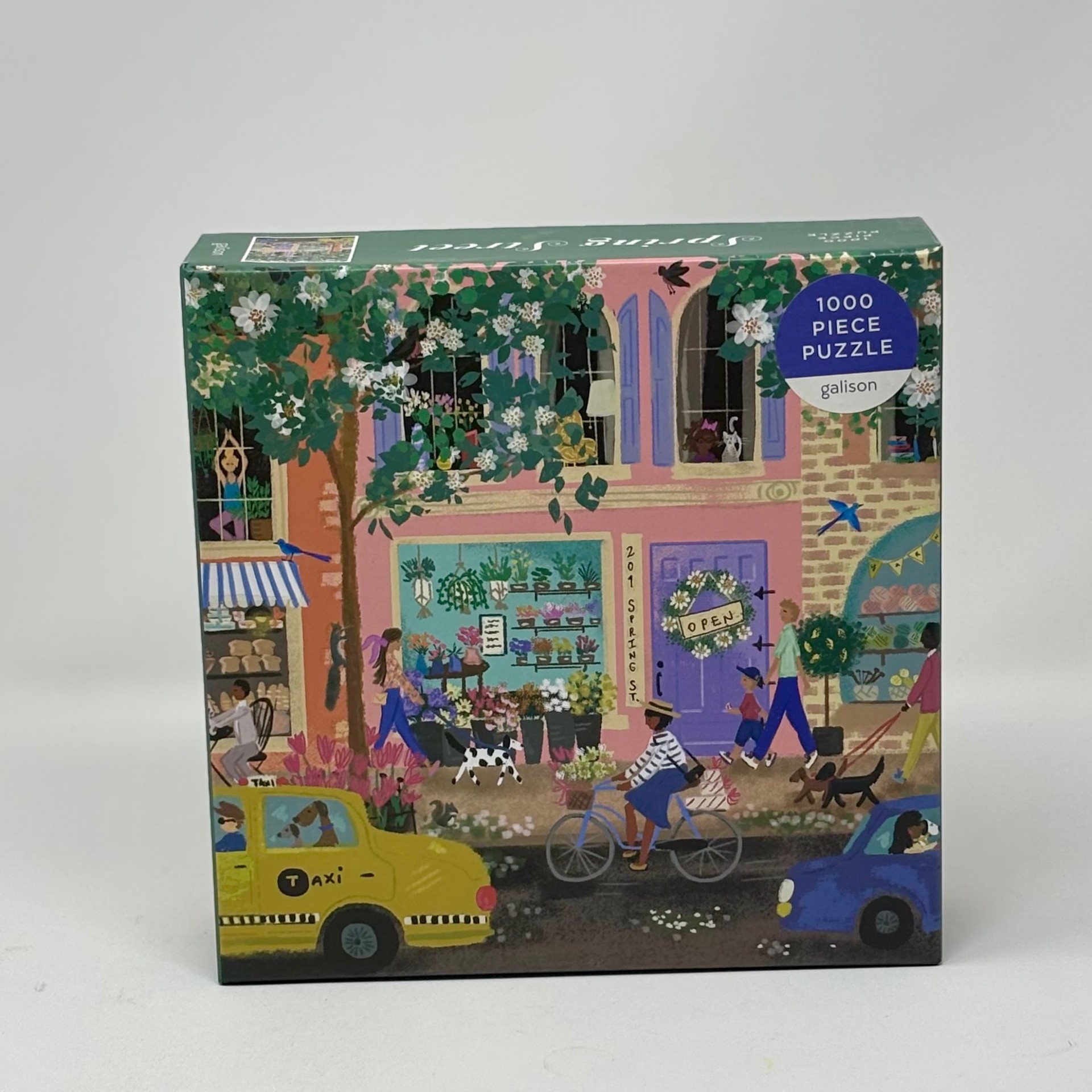 1000 Piece Puzzle - Galison - Spring Street