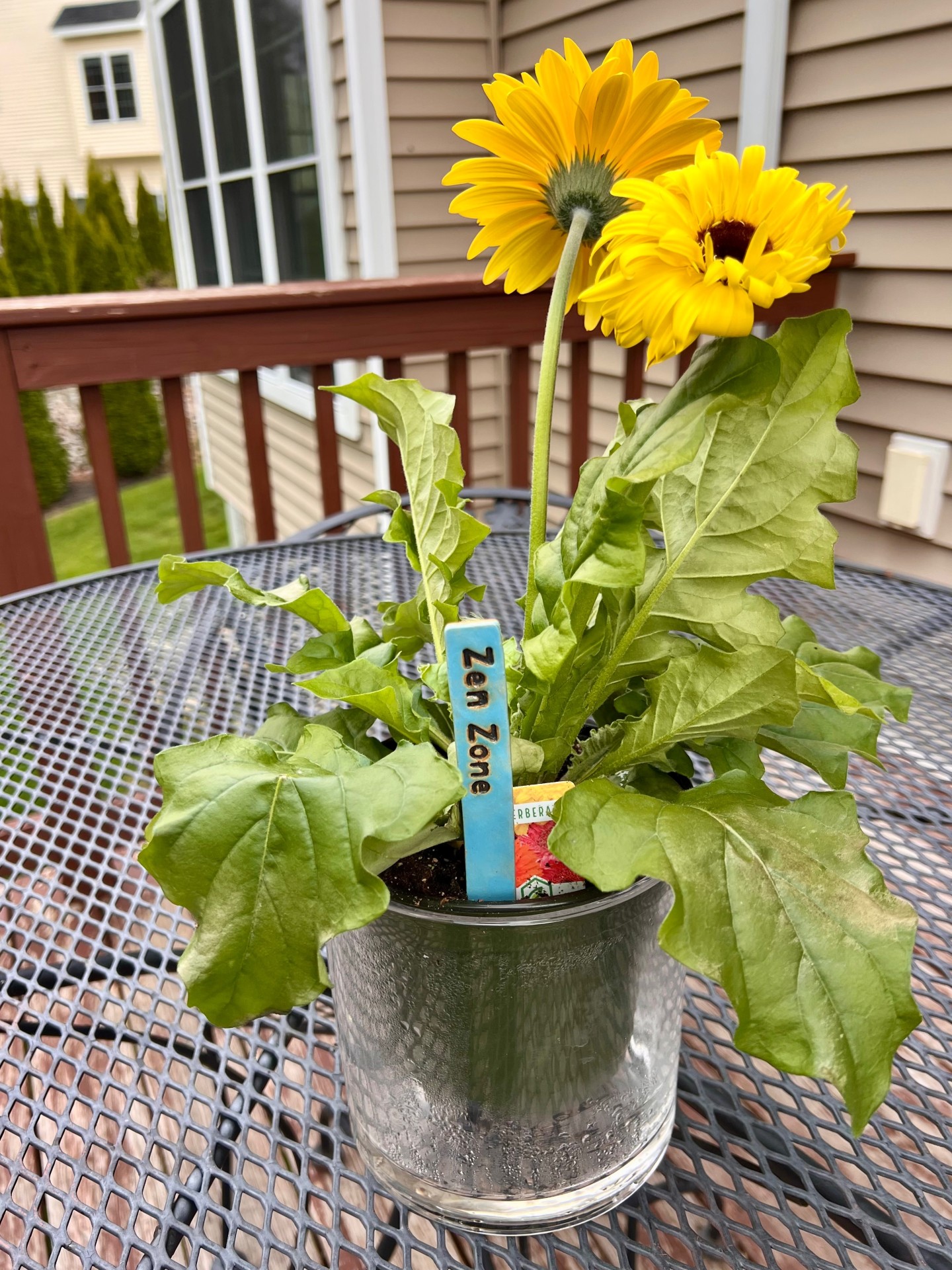 Garden Stake with a Message