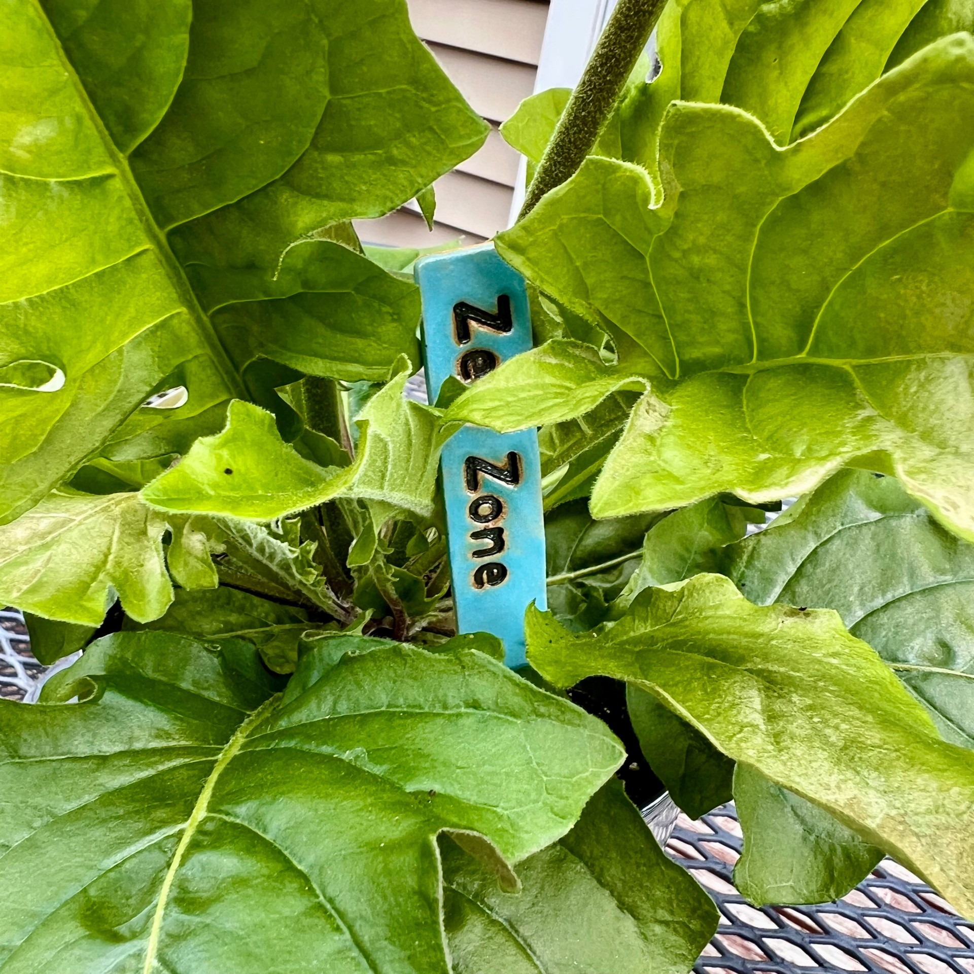 Garden Stake with a Message